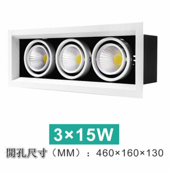 New LED ceiling downlight [3*15W] [white light]