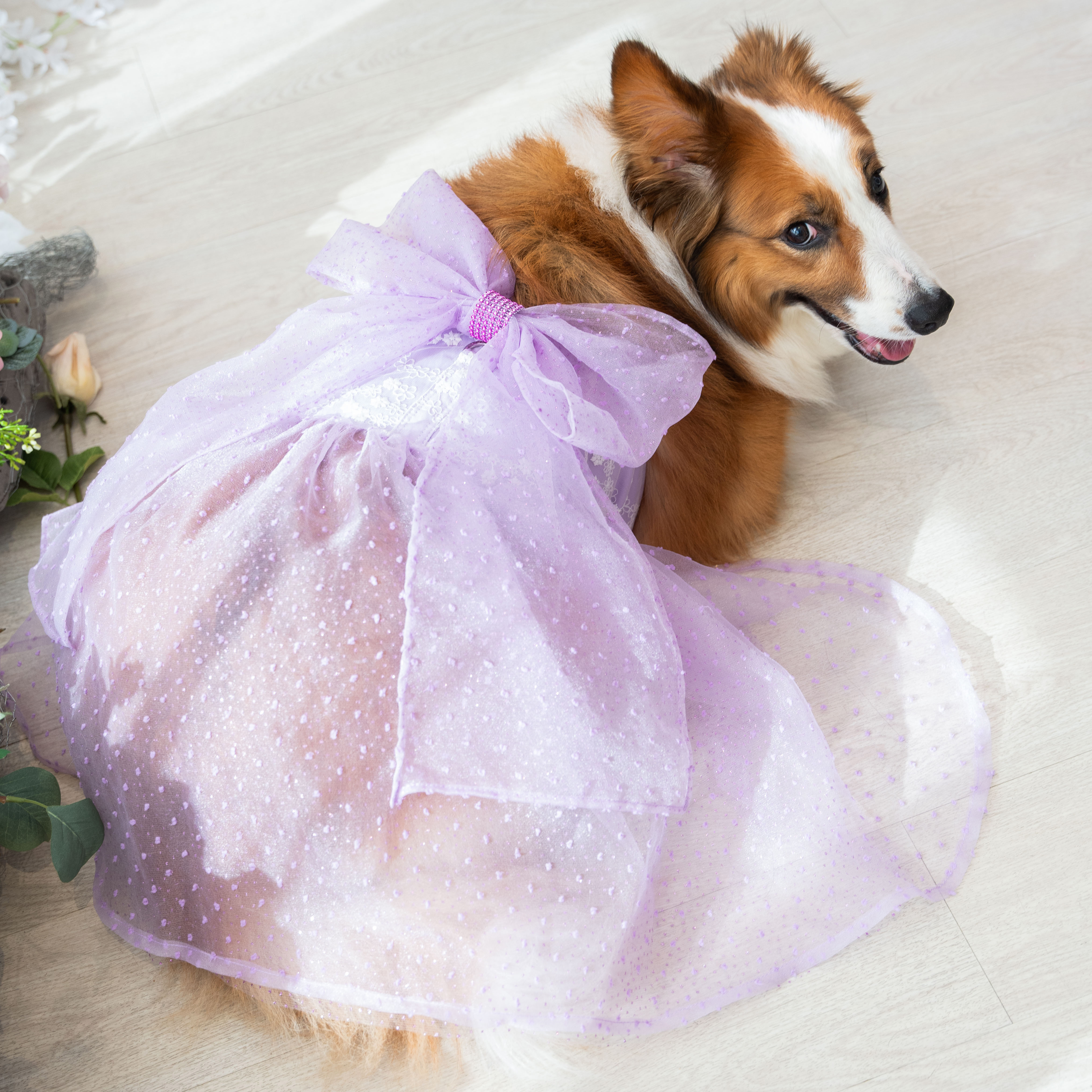 Purple Dot W/ Bow Dress