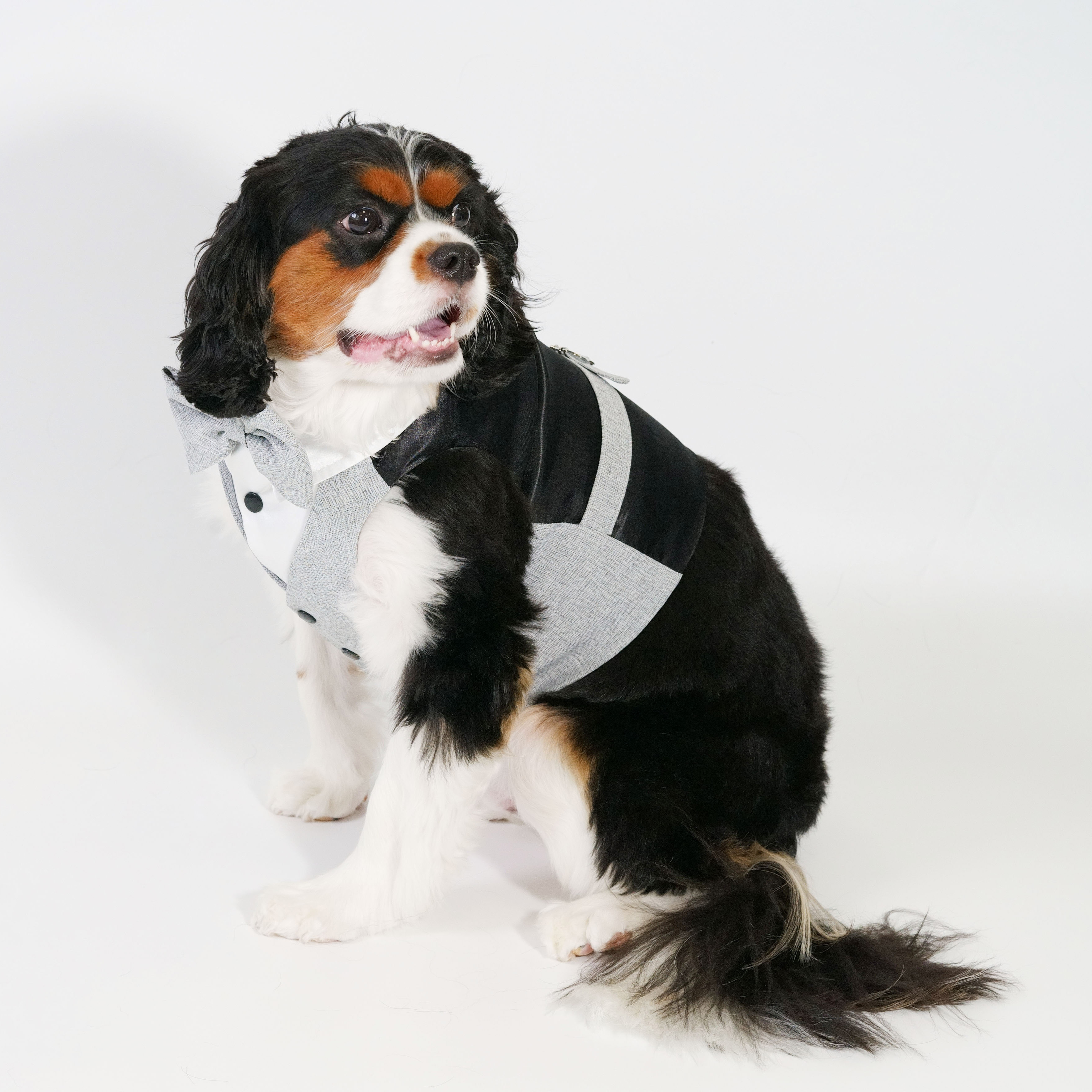 【XS~4XL】Grey Waistcoat