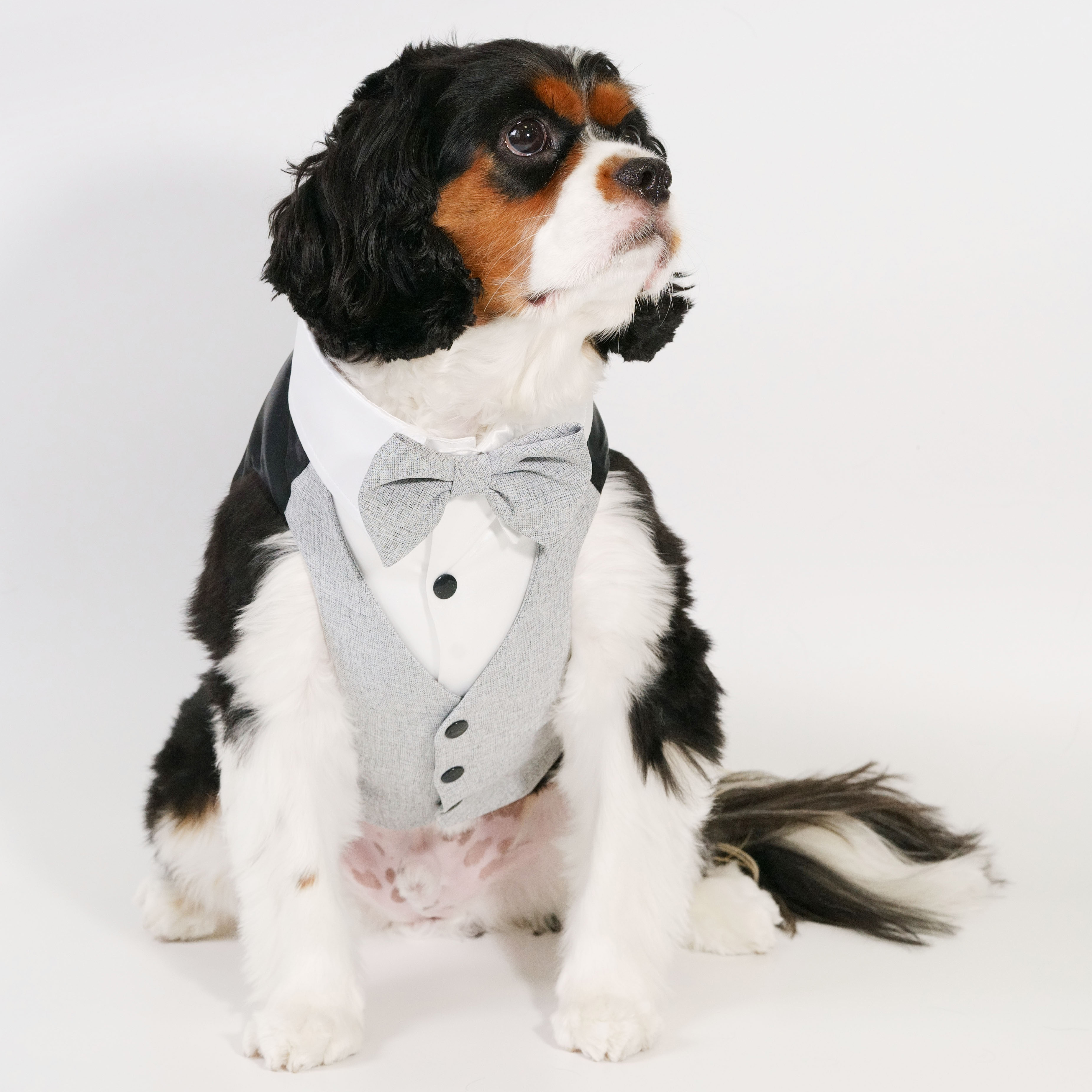 【XS~4XL】Grey Waistcoat