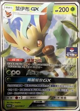 PROMOF 022/SM-P 葉伊布GX