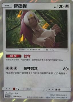 PROMOF 013/SM-P 智揮猩