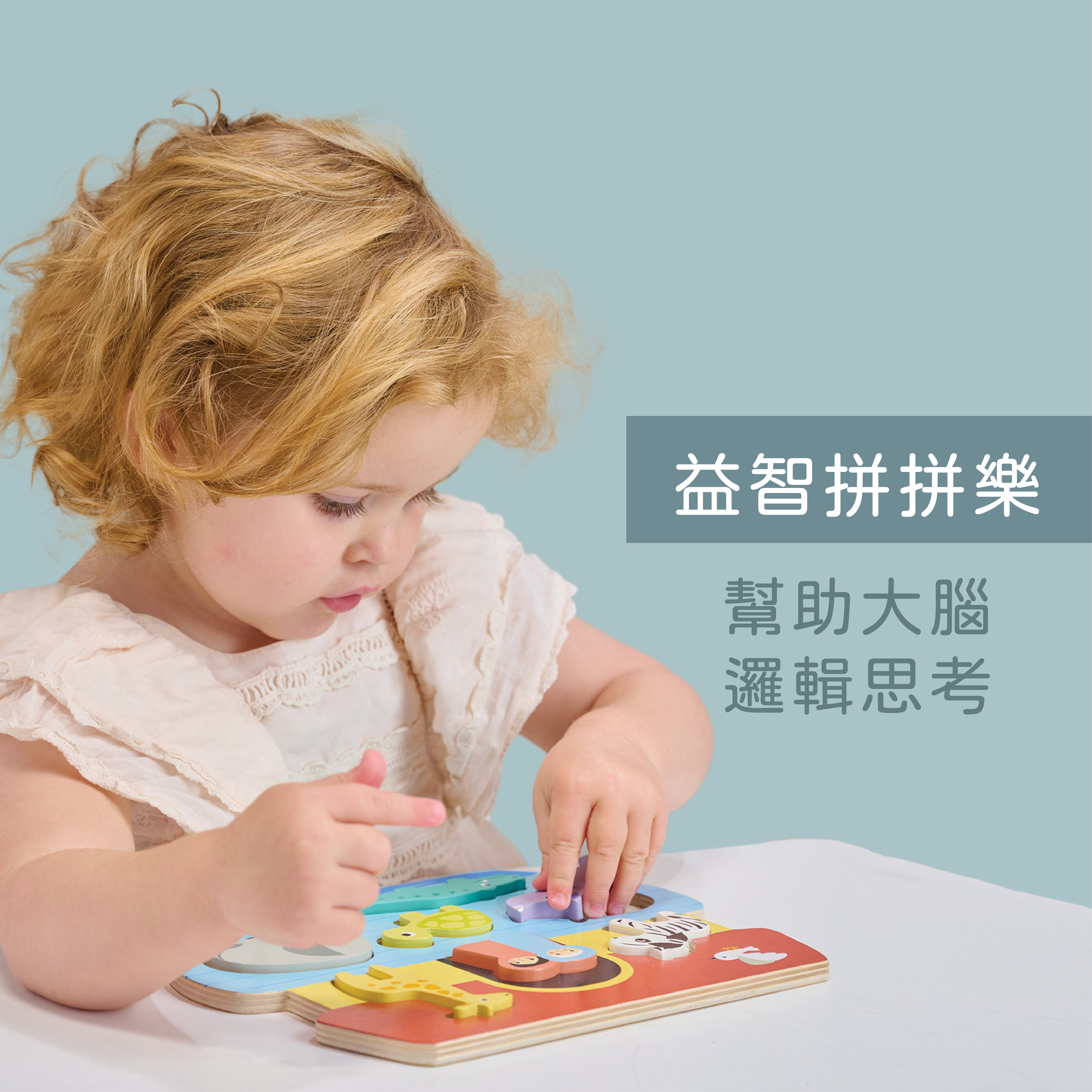 益智拼拼樂，幫助大腦邏輯思考