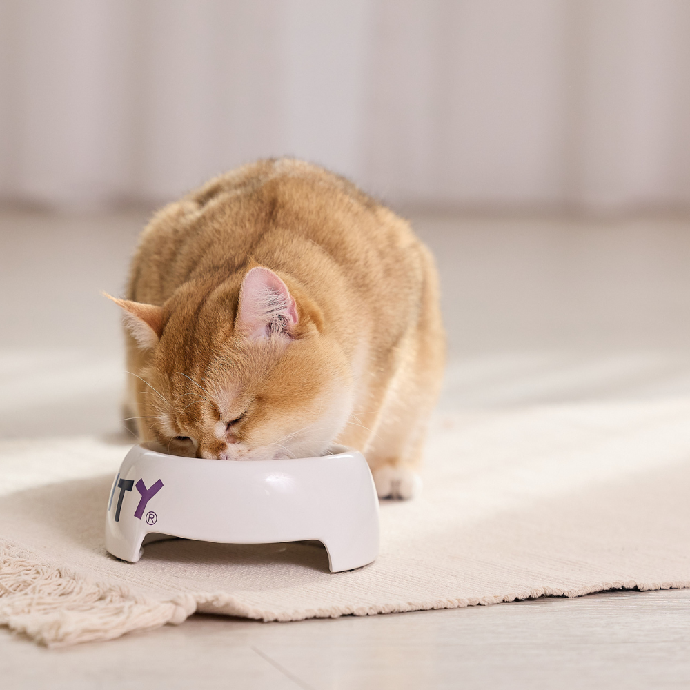 寵物洗碗慕斯 480ml