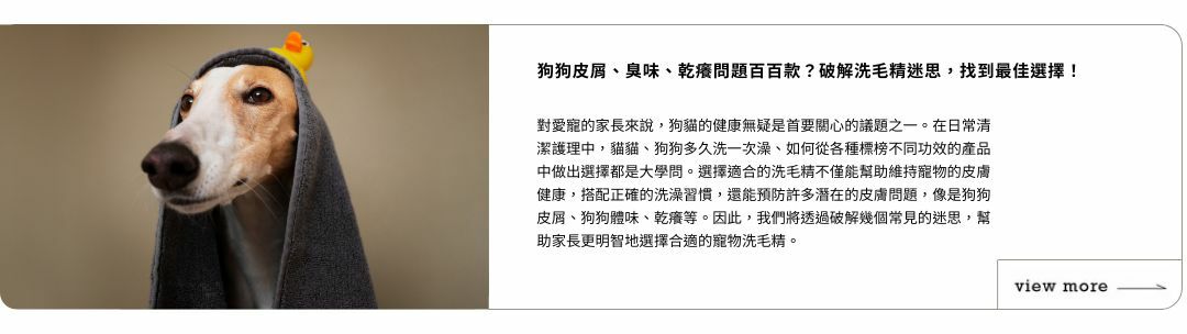 狗狗皮屑問題解決辦法