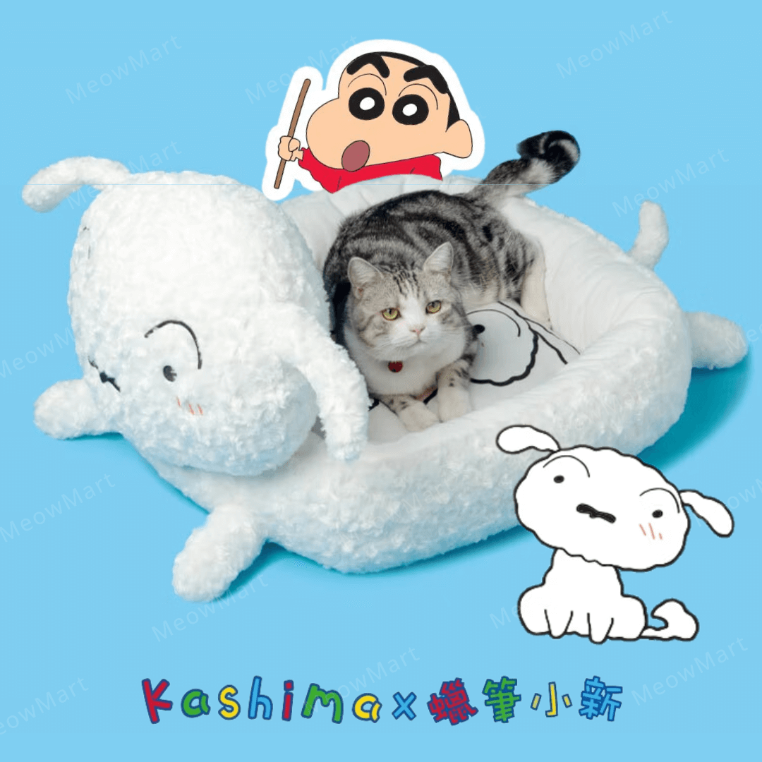 日本Kashima蠟筆小新｜小白趴趴窩