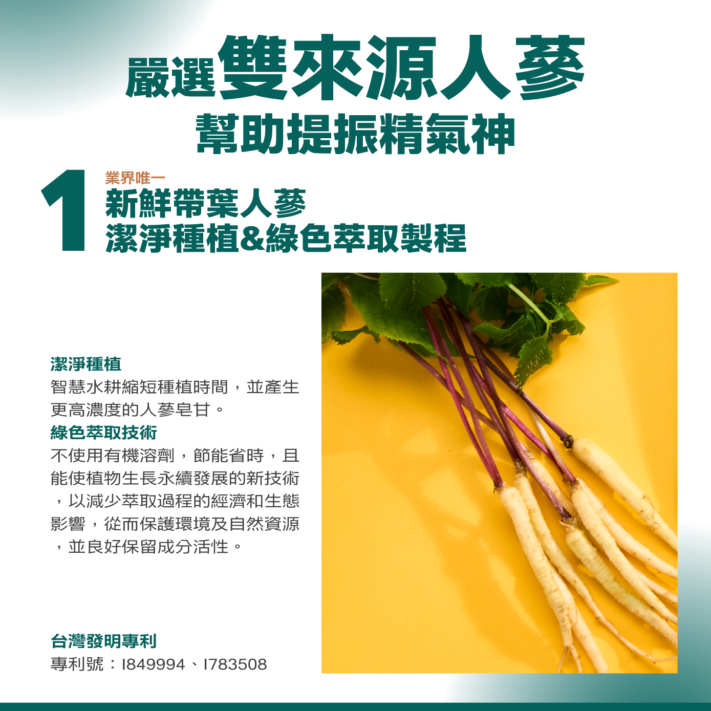 嚴選雙來源人蔘，幫助提振精氣神，新鮮帶葉人蔘，潔淨種植、綠色萃取製程