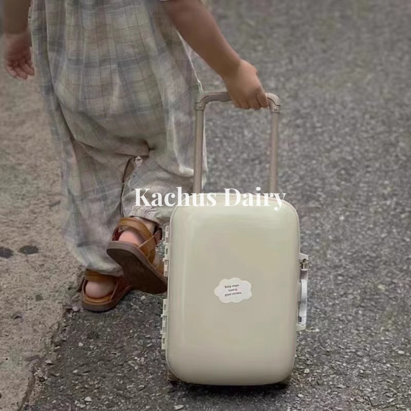 Baby luggage