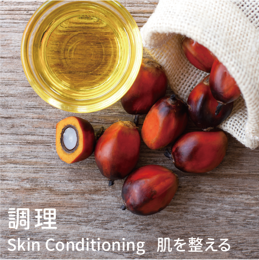 紅棕櫚油 特性:調理