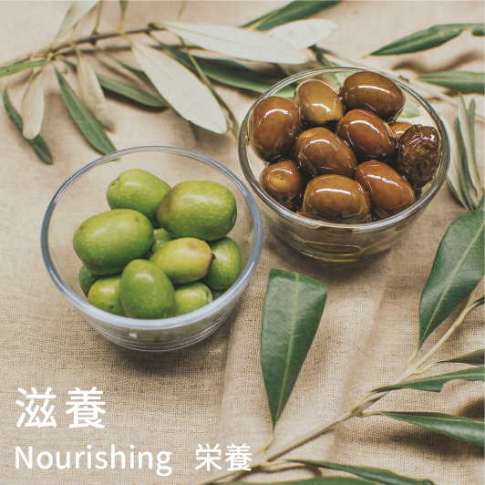 橄欖油 特性:滋養
