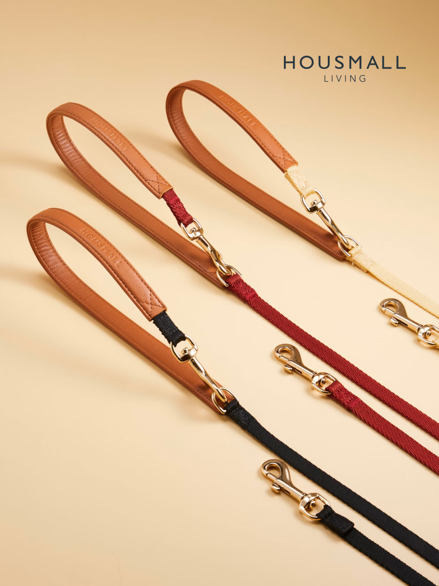 【小宅生活 Housmall Living】SCOUT 定距牽繩