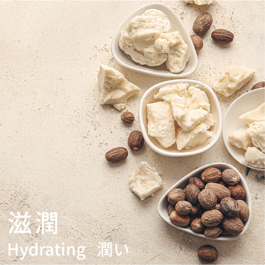 乳油木果脂 特性：滋潤