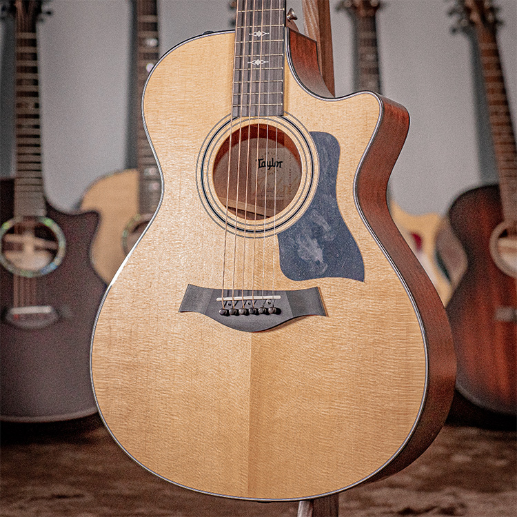 Taylor 312ce 全單板 木吉他