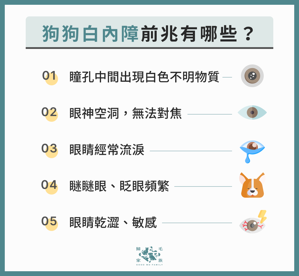 狗狗白內障前兆有哪些？
