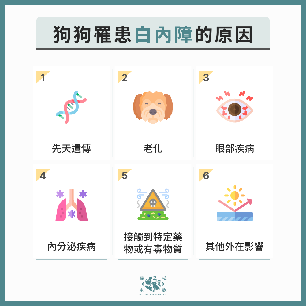 狗狗罹患白內障的原因