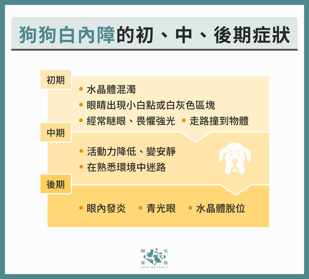 狗狗白內障的初、中、後期症狀