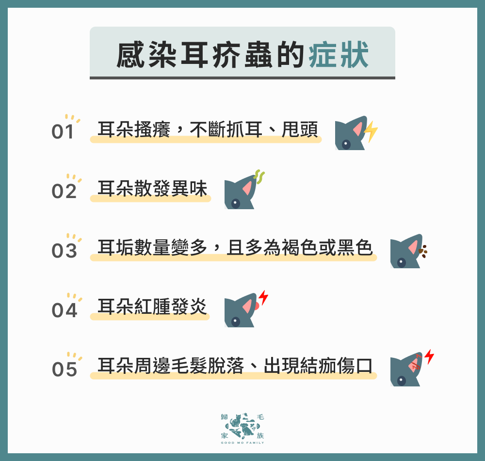 感染耳疥蟲的症狀