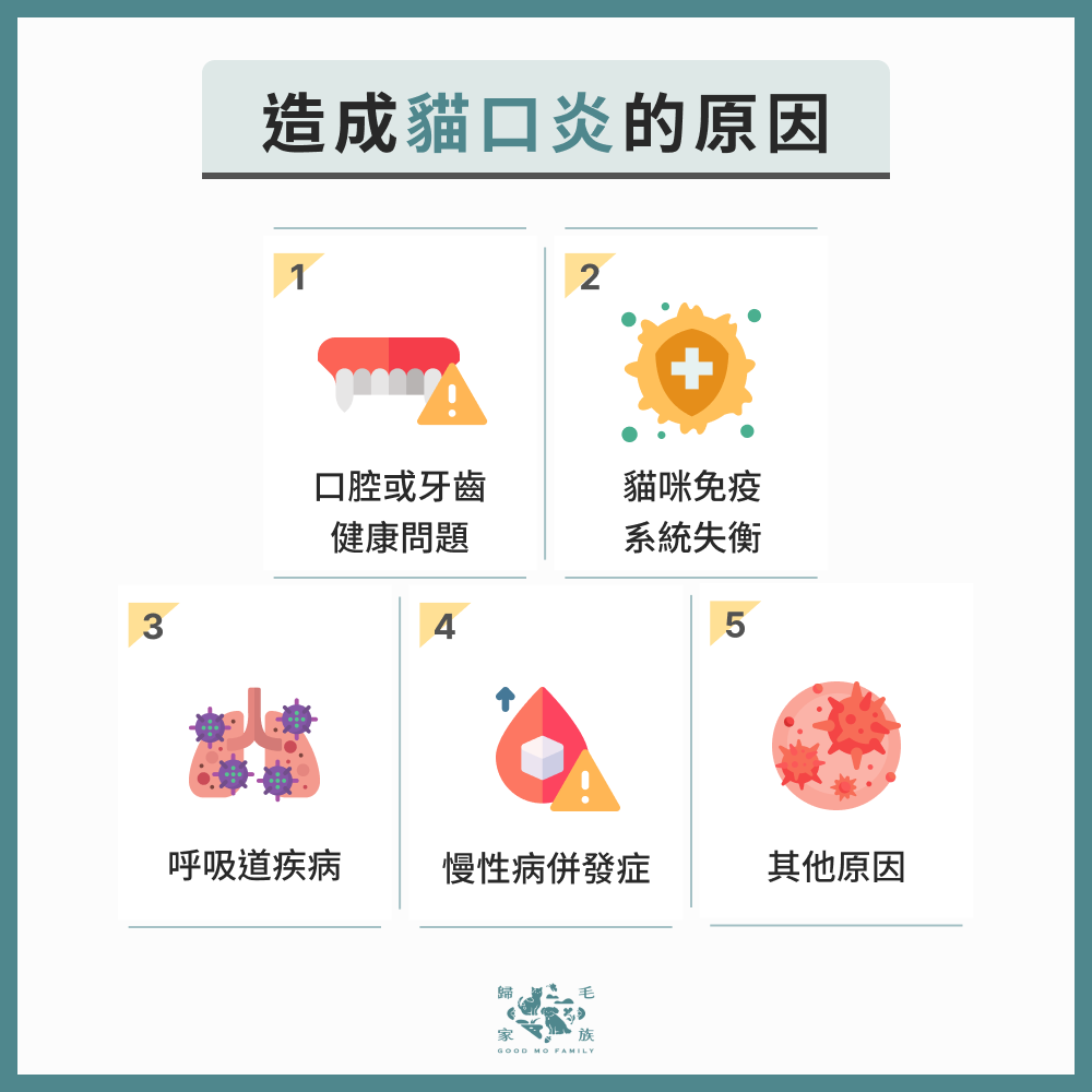 造成貓口炎的原因