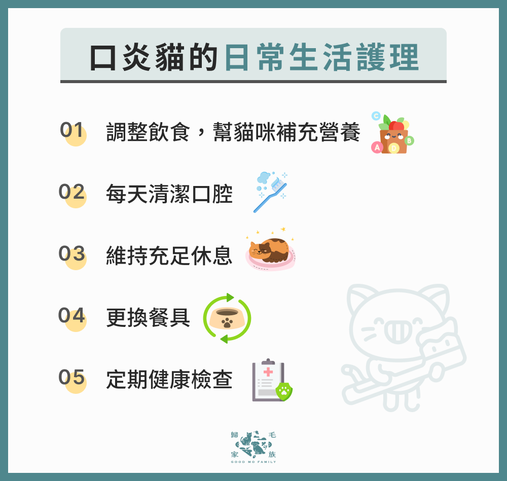 口炎貓的日常生活護理