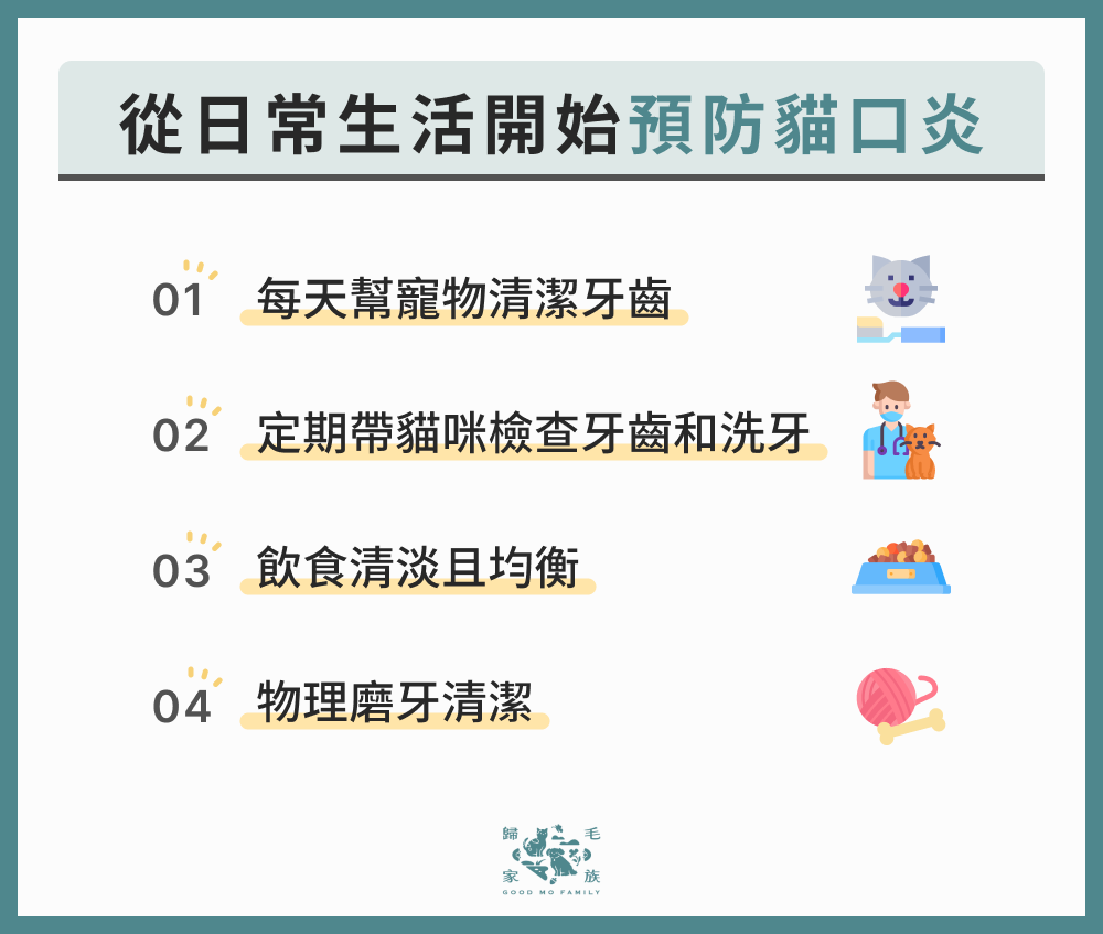 從日常生活開始預防貓口炎