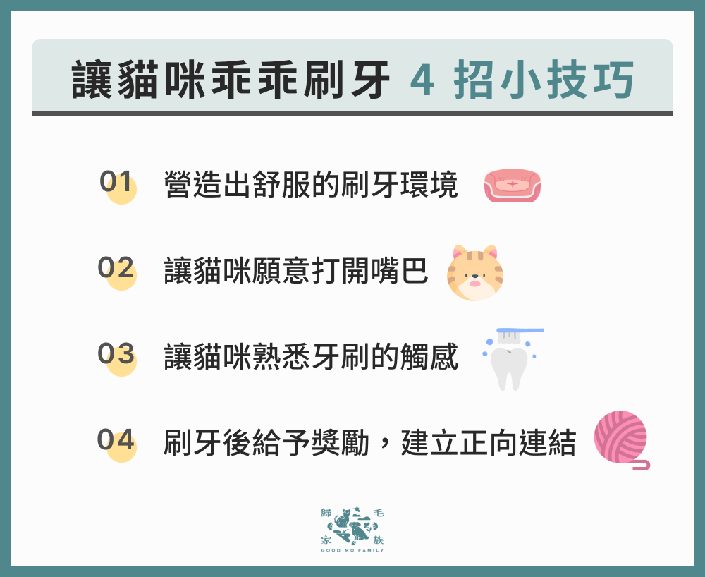 讓貓咪乖乖刷牙 4 招小技巧
