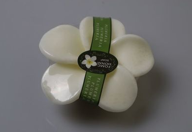 Hot recommended cute fruit handmade soap (specification: Plumeria [120G])