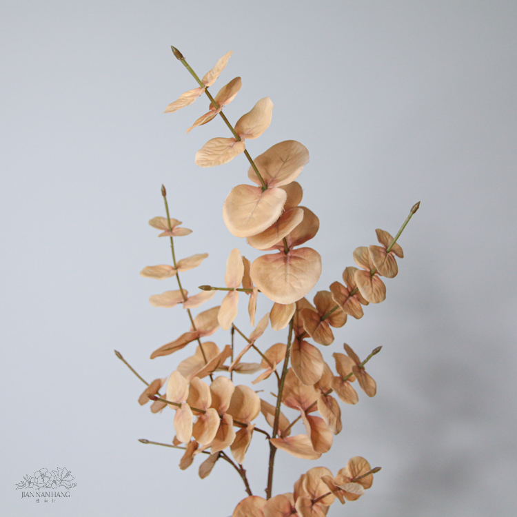 人造葉 千層油加利葉 淺咖