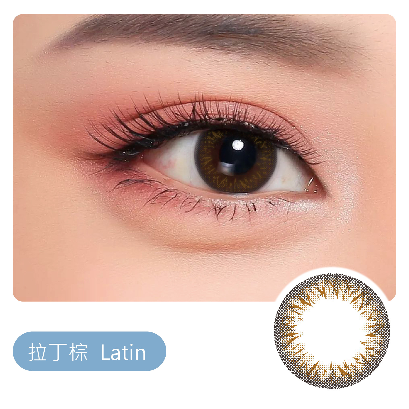 V04拉丁棕(一盒10片裝)