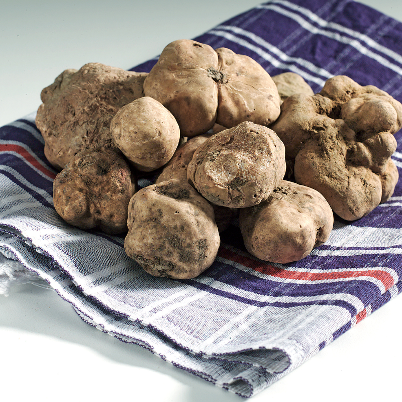 義大利 冷凍 春季白松露 依重量計價