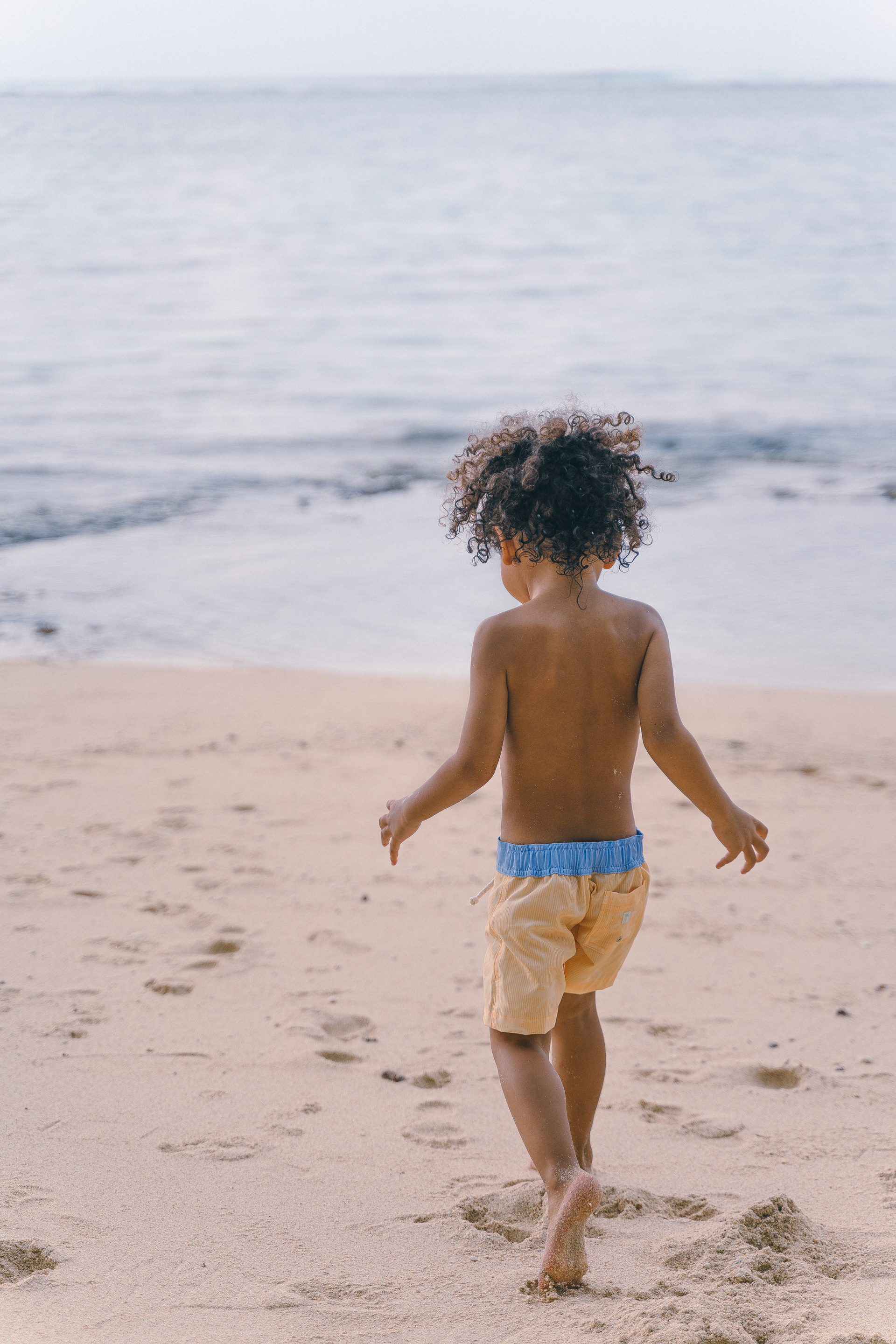 Cantê - ABU V6 棕櫚樹印花泳褲