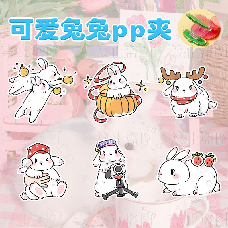 [4 FOR RM10] Cute Bunny Double-Sided Acrylic Clip