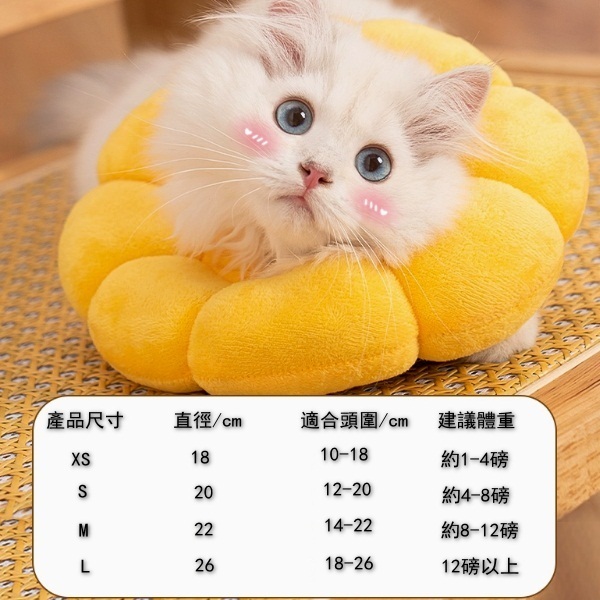 貓絕育項圈脖圈頸圈頭套【太陽花+透氣+親膚款】L碼【脖套直徑26cm】