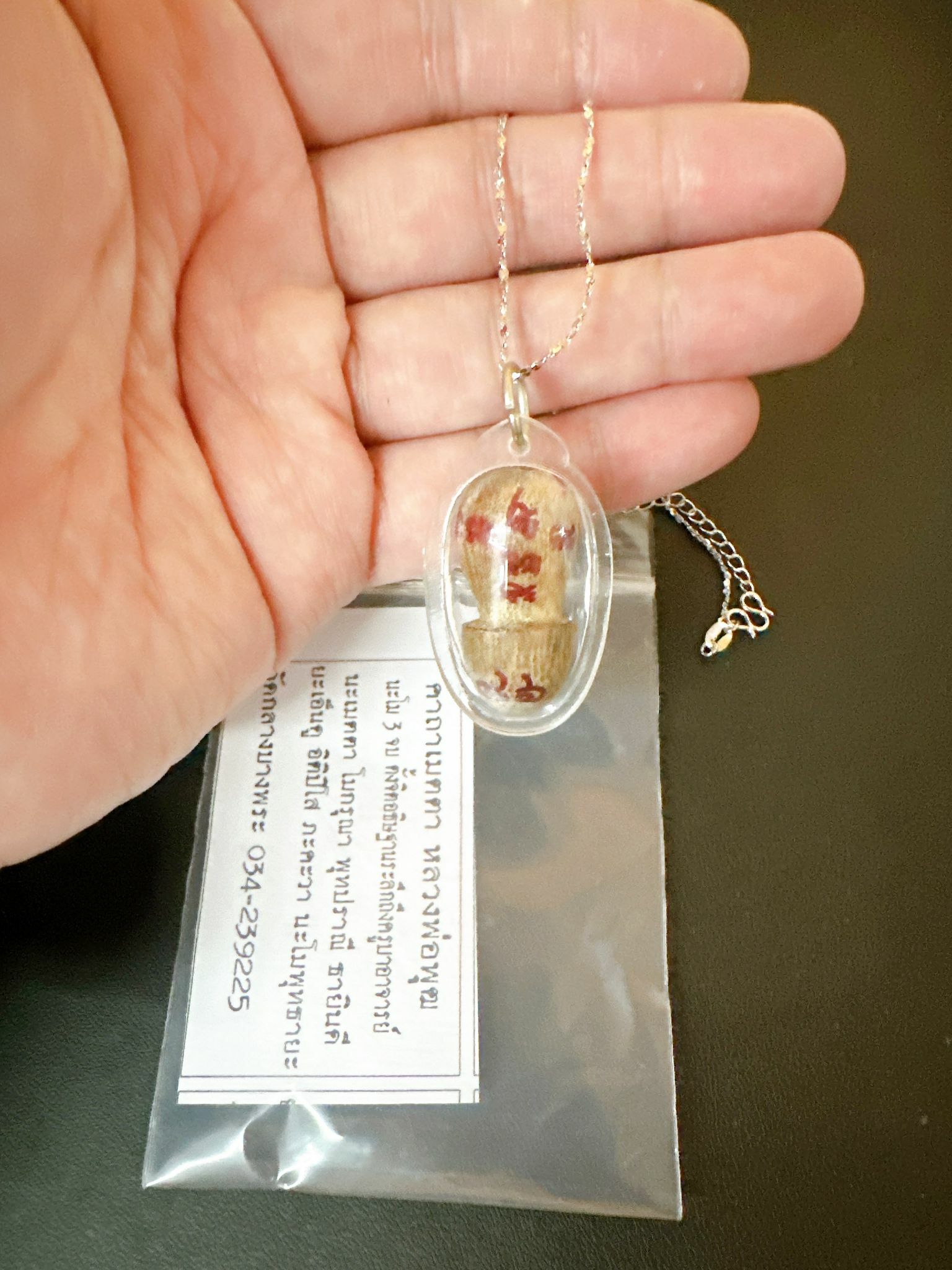 泰國龍婆Put廟 供請 招財木符巴拉吉