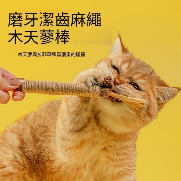 貓玩具逗貓棒-【大麦克款-拉菲草木天廖磨牙棒】