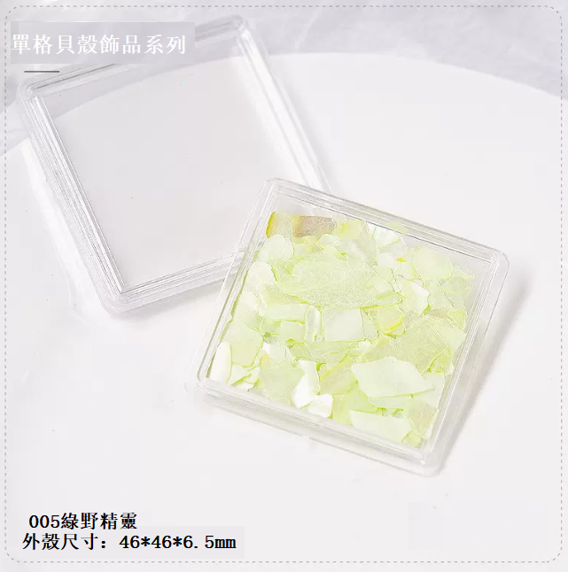 Hot Selling Nail Art Accessories Irregular Shell Stone Symphony (Single Box No. 005)