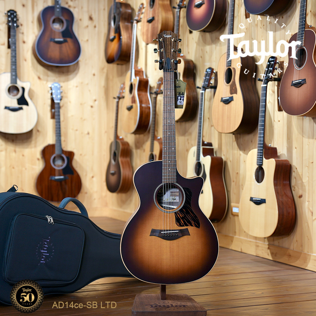 Taylor 50週年 AD14ce SB LTD 面單 電木吉他 民謠吉他 GA桶