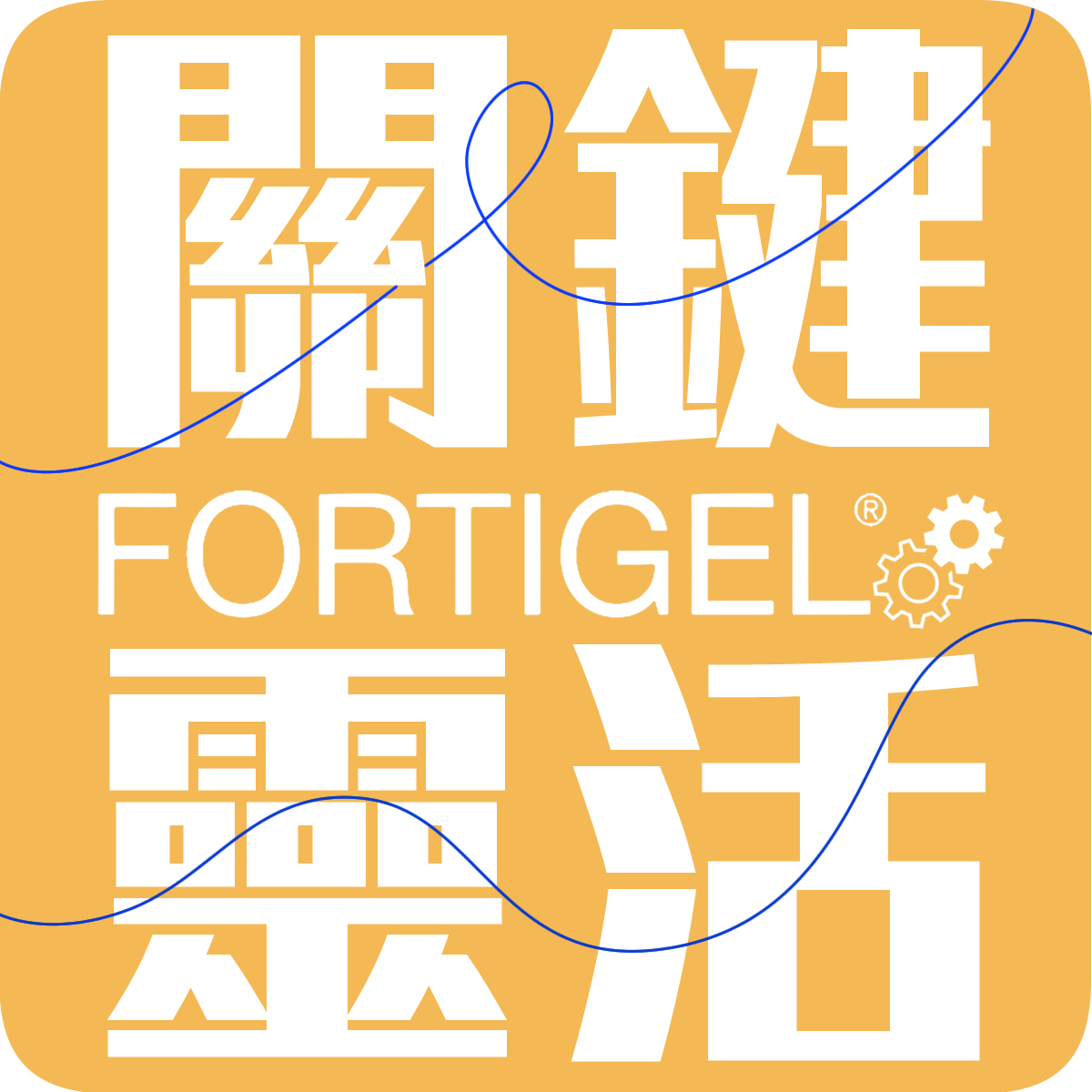 【GELITA嘉利達】FORTIGEL 靈活關鍵_膠原胜肽300
