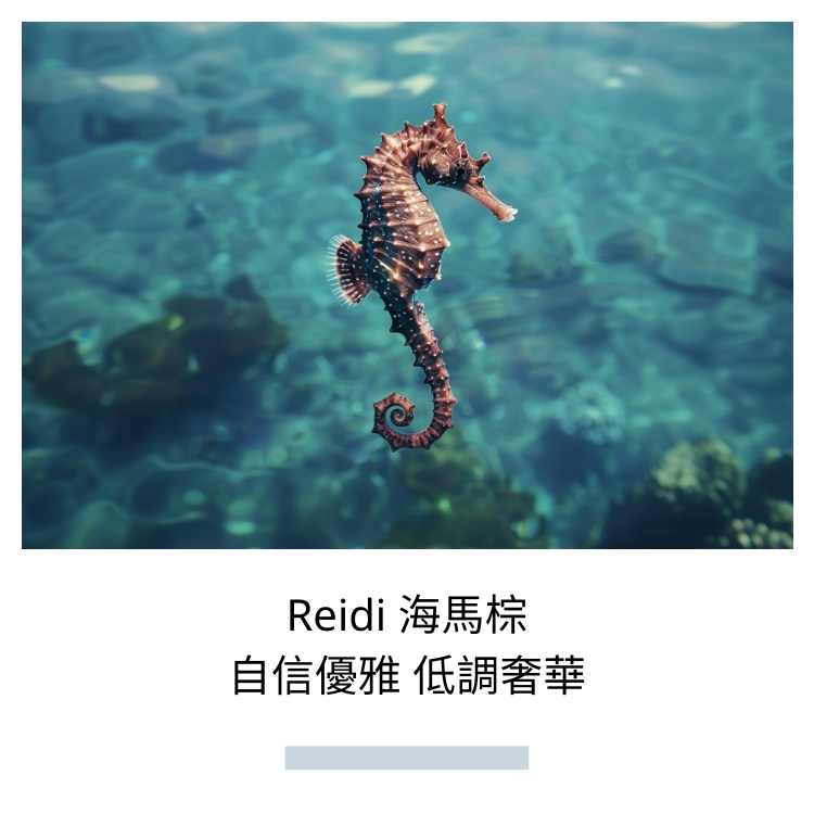 COOCEAN OCEAN GLOW 海光柔緞美臀泳褲 海馬棕