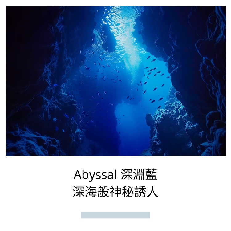 COOCEAN OCEAN GLOW 海光柔緞美臀泳褲 深淵藍