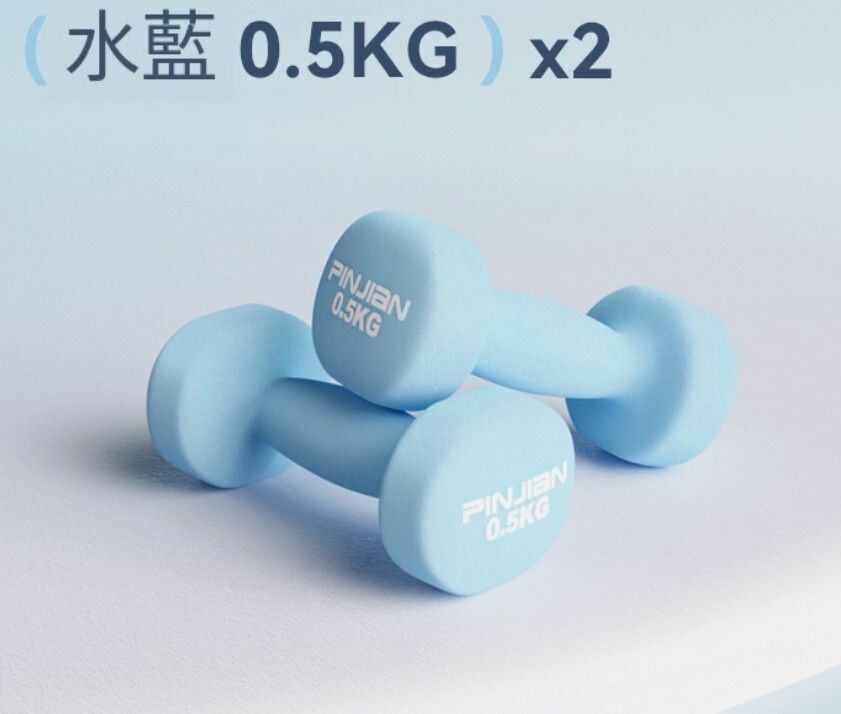 熱賣健身啞鈴-水藍色-0.5kg*2（特價100對）