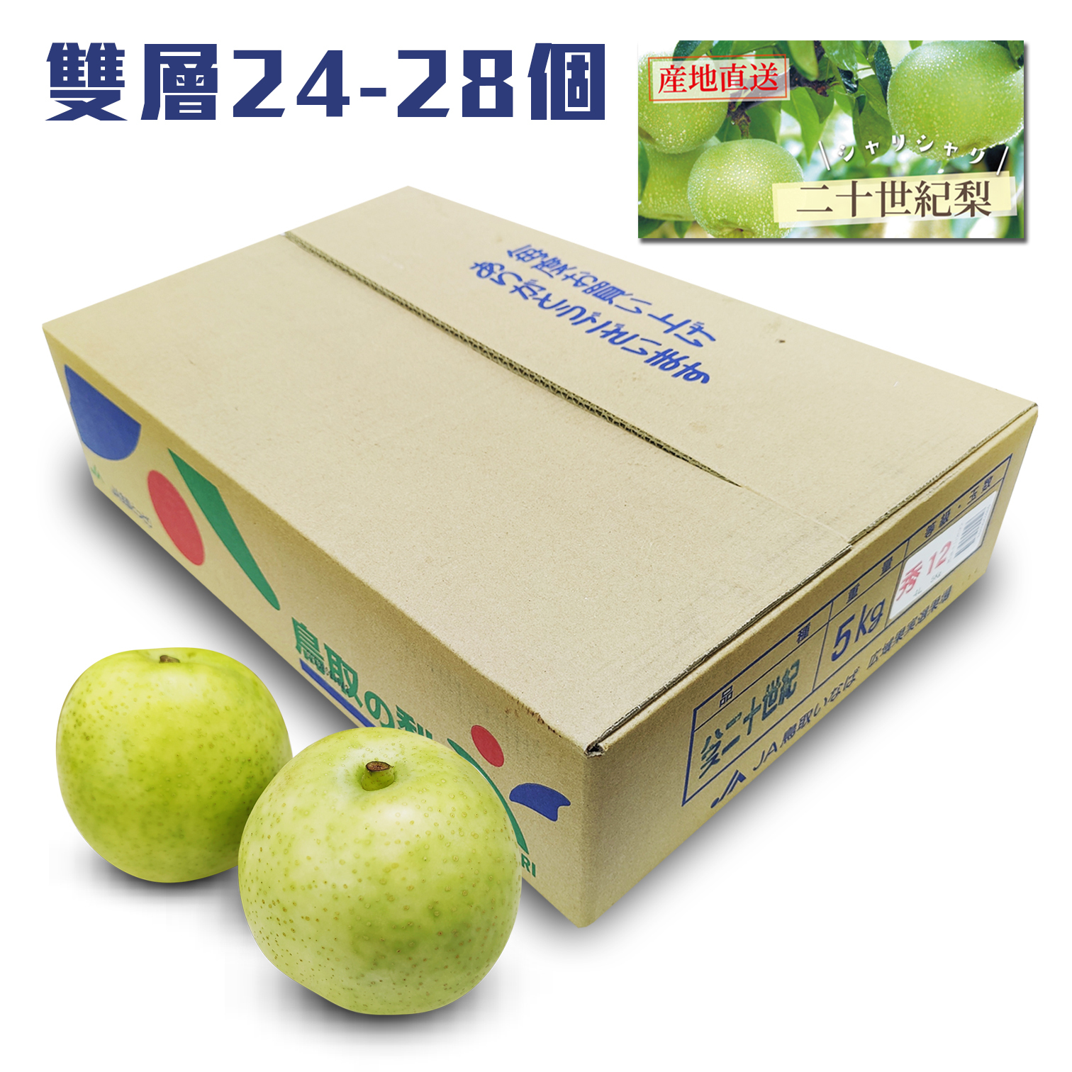 日本鳥取縣二十世紀水晶梨 [原箱]