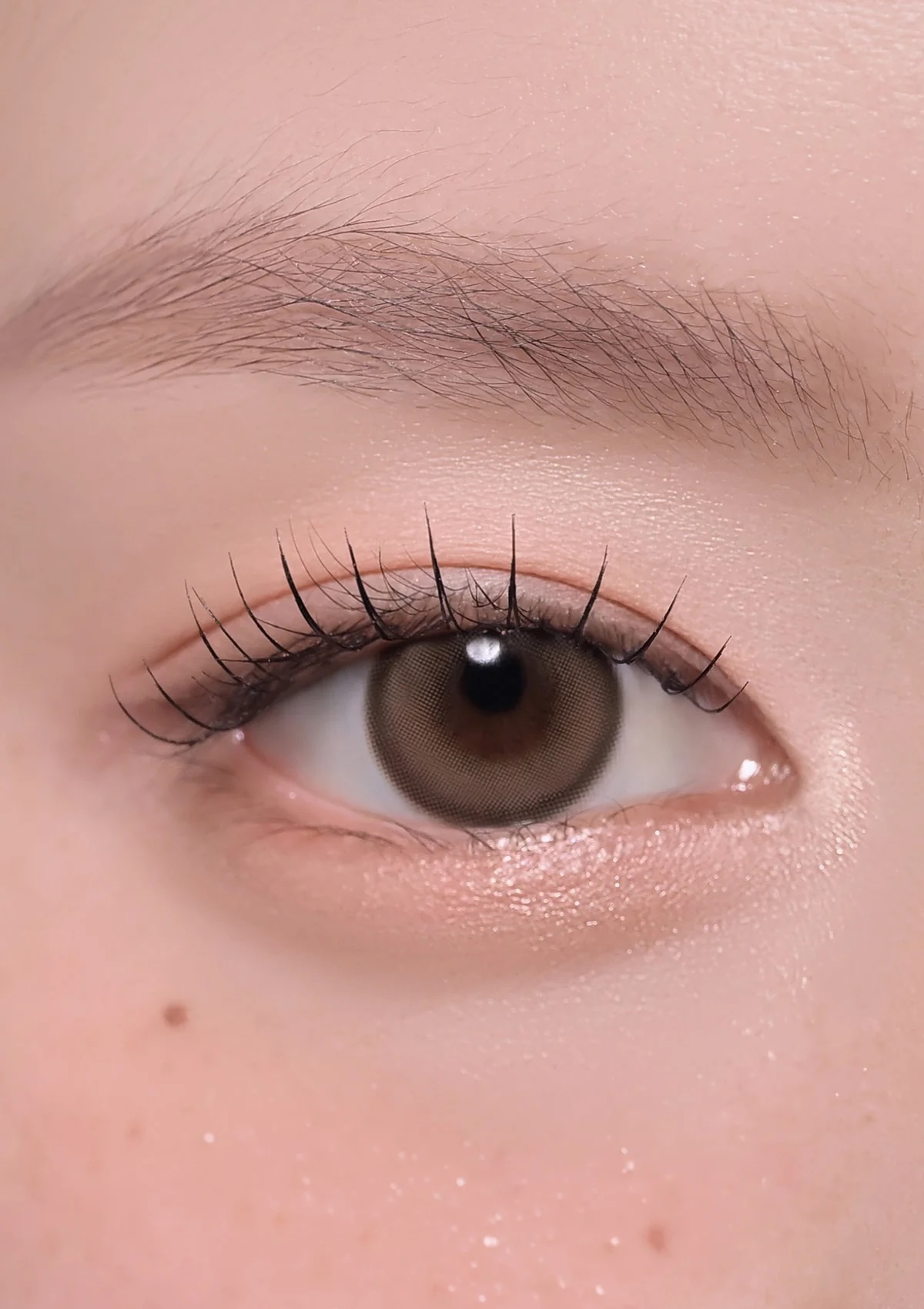 CHUU - Milk & Tea 1 day (Cream Mocha)(10片)