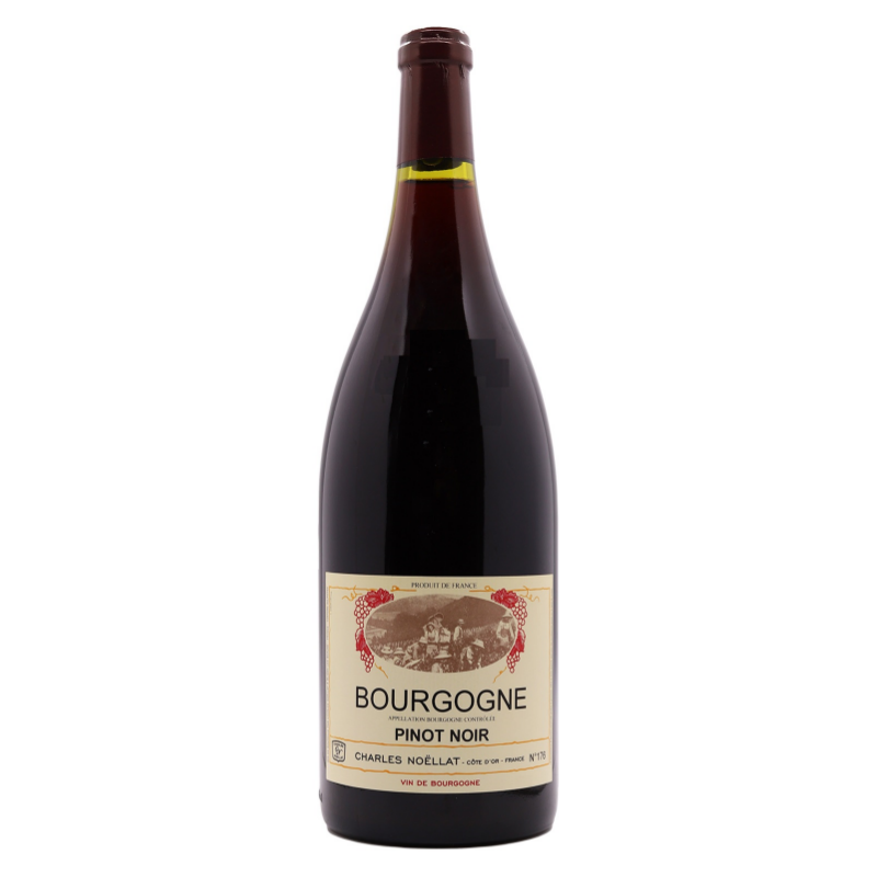 查爾斯諾以拉  2017 布根地 黑皮諾