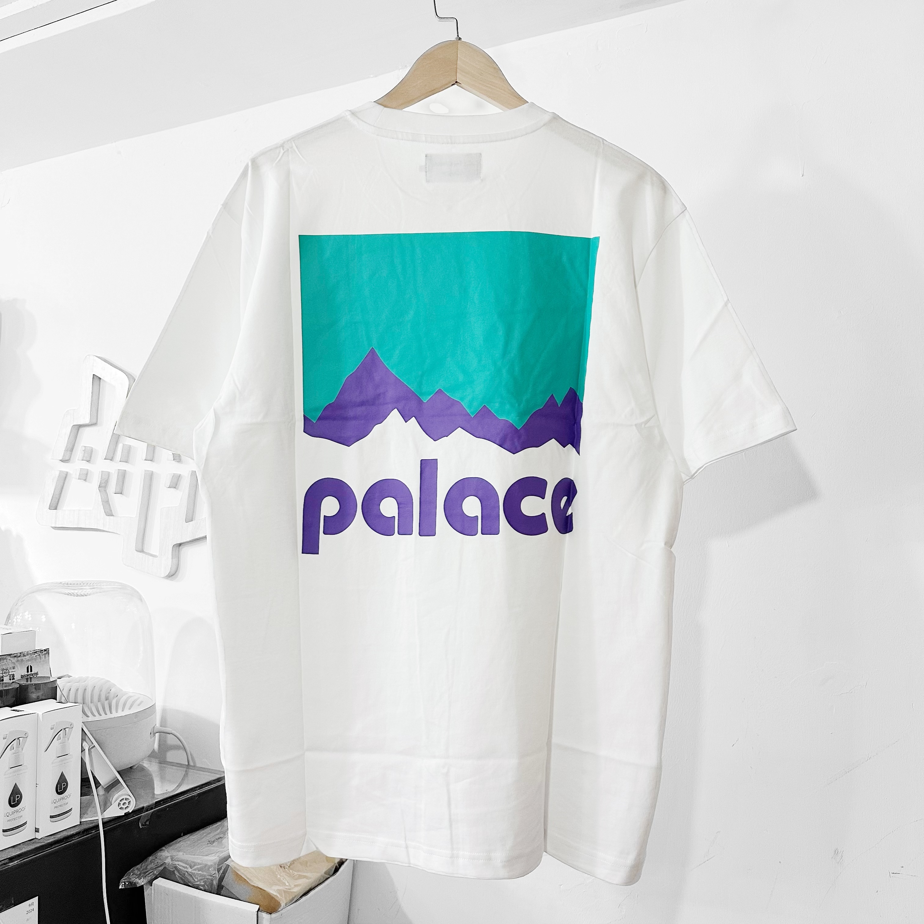 PALACE FW24 BERGHAUS TEE WHITE 聯名限定