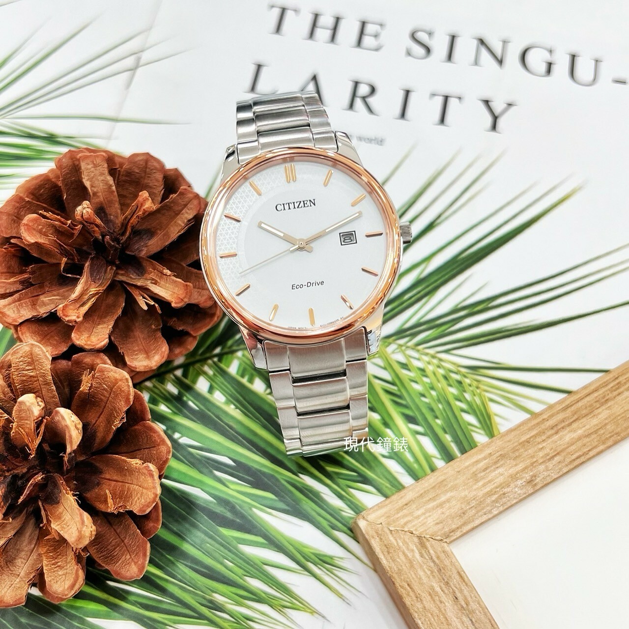 【CITIZEN星辰】PAIR 對錶 腕錶系列 BM6979-74A(40mm)/EW2319-71A(27.5mm)  現代鐘錶