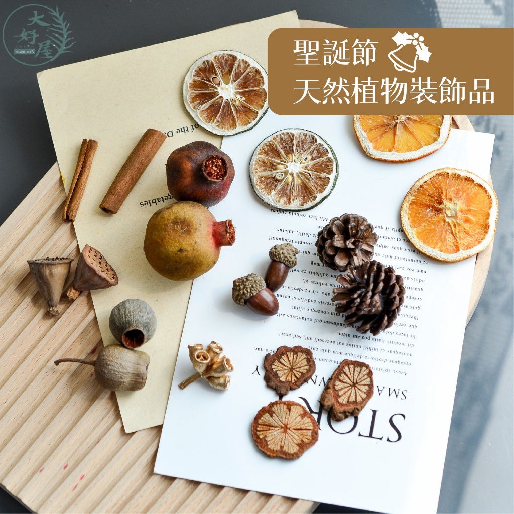 天然植物裝飾