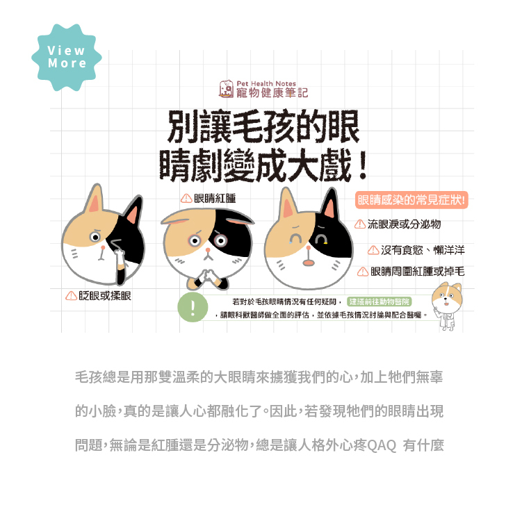 寵物,毛孩,貓,貓咪,狗,狗狗,健康,眼睛,犬貓,眼屎,紅腫,感染,抓撓,江世明獸醫師,玻尿酸,維生素E,犬貓眼科,獸醫師,檢查治療,獸醫團隊,寵物眼睛健康筆記,狗貓眼睛,動物醫院,寵物老年生活,寵物健康筆記,寶昕,J.VET