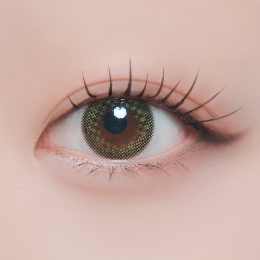 [日拋] MiiYuu 1 Day Tuttle Olive 有色彩妝隱形眼鏡｜每盒10片