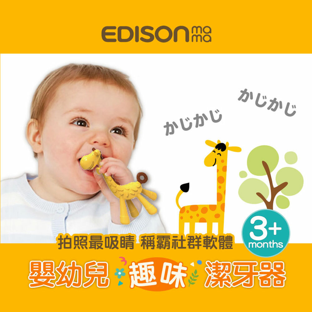 【日本Edison】KJC嬰幼兒潔牙固齒器
