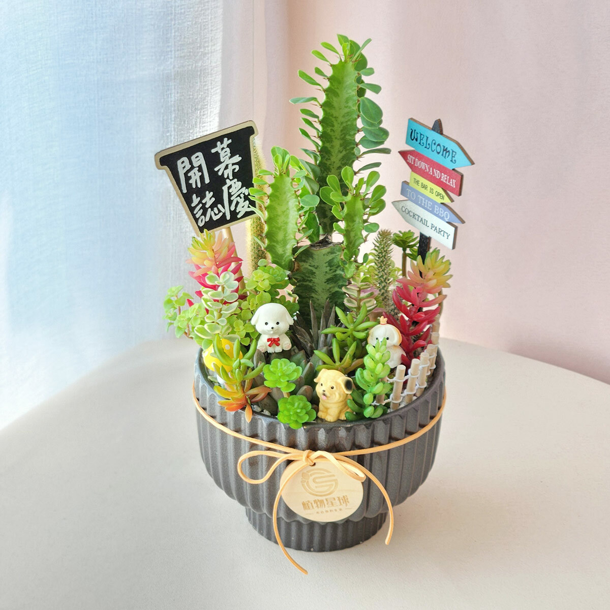 PD183｜狗狗公仔多肉仙人掌盆栽